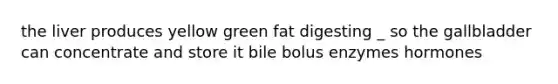 the liver produces yellow green fat digesting _ so the gallbladder can concentrate and store it bile bolus enzymes hormones