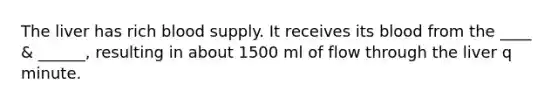 The liver has rich blood supply. It receives its blood from the ____ & ______, resulting in about 1500 ml of flow through the liver q minute.