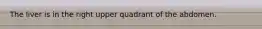 The liver is in the right upper quadrant of the abdomen.