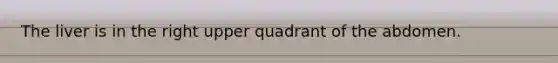 The liver is in the right upper quadrant of the abdomen.
