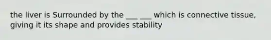 the liver is Surrounded by the ___ ___ which is connective tissue, giving it its shape and provides stability