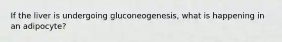 If the liver is undergoing gluconeogenesis, what is happening in an adipocyte?