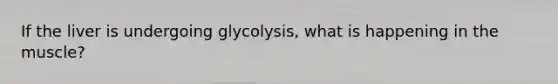 If the liver is undergoing glycolysis, what is happening in the muscle?