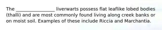 The _________________ liverwarts possess flat leaflike lobed bodies (thalli) and are most commonly found living along creek banks or on moist soil. Examples of these include Riccia and Marchantia.