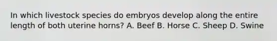 In which livestock species do embryos develop along the entire length of both uterine horns? A. Beef B. Horse C. Sheep D. Swine