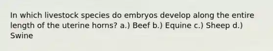 In which livestock species do embryos develop along the entire length of the uterine horns? a.) Beef b.) Equine c.) Sheep d.) Swine