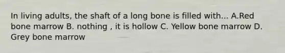 In living adults, the shaft of a long bone is filled with... A.Red bone marrow B. nothing , it is hollow C. Yellow bone marrow D. Grey bone marrow