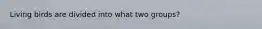 Living birds are divided into what two groups?