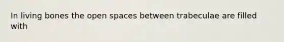 In living bones the open spaces between trabeculae are filled with