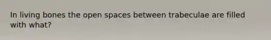 In living bones the open spaces between trabeculae are filled with what?