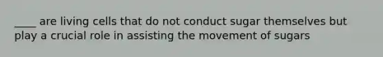 ____ are living cells that do not conduct sugar themselves but play a crucial role in assisting the movement of sugars