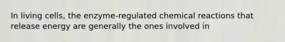 In living cells, the enzyme-regulated chemical reactions that release energy are generally the ones involved in