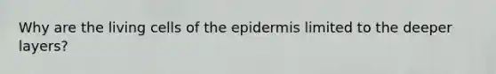 Why are the living cells of the epidermis limited to the deeper layers?