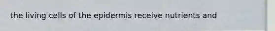the living cells of <a href='https://www.questionai.com/knowledge/kBFgQMpq6s-the-epidermis' class='anchor-knowledge'>the epidermis</a> receive nutrients and