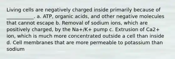 Living cells are negatively charged inside primarily because of ___________. a. ATP, organic acids, and other negative molecules that cannot escape b. Removal of sodium ions, which are positively charged, by the Na+/K+ pump c. Extrusion of Ca2+ ion, which is much more concentrated outside a cell than inside d. Cell membranes that are more permeable to potassium than sodium