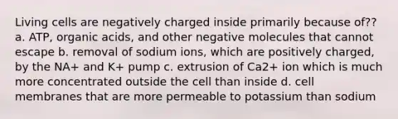 Living cells are negatively charged inside primarily because of?? a. ATP, organic acids, and other negative molecules that cannot escape b. removal of sodium ions, which are positively charged, by the NA+ and K+ pump c. extrusion of Ca2+ ion which is much more concentrated outside the cell than inside d. cell membranes that are more permeable to potassium than sodium