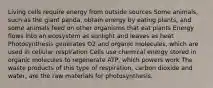 Living cells require energy from outside sources Some animals, such as the giant panda, obtain energy by eating plants, and some animals feed on other organisms that eat plants Energy flows into an ecosystem as sunlight and leaves as heat Photosynthesis generates O2 and organic molecules, which are used in cellular respiration Cells use chemical energy stored in organic molecules to regenerate ATP, which powers work The waste products of this type of respiration, carbon dioxide and water, are the raw materials for photosynthesis.