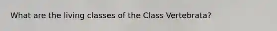 What are the living classes of the Class Vertebrata?