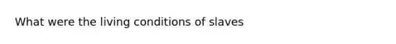 What were the living conditions of slaves