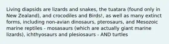 Living diapsids are lizards and snakes, the tuatara (found only in New Zealand), and crocodiles and Birds!, as well as many extinct forms, including non-avian dinosaurs, pterosaurs, and Mesozoic marine reptiles - mosasaurs (which are actually giant marine lizards), ichthyosaurs and plesiosaurs - AND turtles