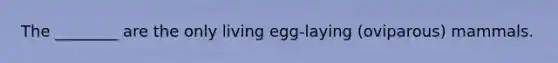 The ________ are the only living egg-laying (oviparous) mammals.