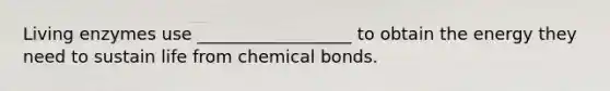 Living enzymes use __________________ to obtain the energy they need to sustain life from chemical bonds.