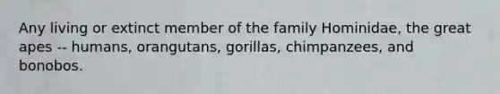 Any living or extinct member of the family Hominidae, the great apes -- humans, orangutans, gorillas, chimpanzees, and bonobos.