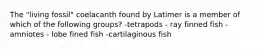 The "living fossil" coelacanth found by Latimer is a member of which of the following groups? -tetrapods - ray finned fish -amniotes - lobe fined fish -cartilaginous fish