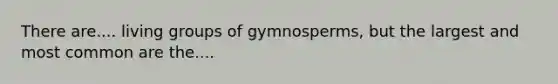 There are.... living groups of gymnosperms, but the largest and most common are the....