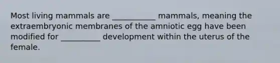 Most living mammals are ___________ mammals, meaning the extraembryonic membranes of the amniotic egg have been modified for __________ development within the uterus of the female.