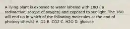 A living plant is exposed to water labeled with 18O ( a radioactive isotope of oxygen) and exposed to sunlight. The 18O will end up in which of the following molecules at the end of photosynthesis? A. O2 B. CO2 C. H2O D. glucose