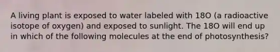 A living plant is exposed to water labeled with 18O (a radioactive isotope of oxygen) and exposed to sunlight. The 18O will end up in which of the following molecules at the end of photosynthesis?