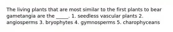 The living plants that are most similar to the first plants to bear gametangia are the _____. 1. seedless vascular plants 2. angiosperms 3. bryophytes 4. gymnosperms 5. charophyceans