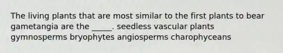 The living plants that are most similar to the first plants to bear gametangia are the _____. seedless vascular plants gymnosperms bryophytes angiosperms charophyceans