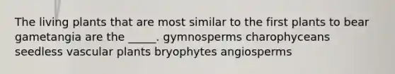 The living plants that are most similar to the first plants to bear gametangia are the _____. gymnosperms charophyceans seedless vascular plants bryophytes angiosperms