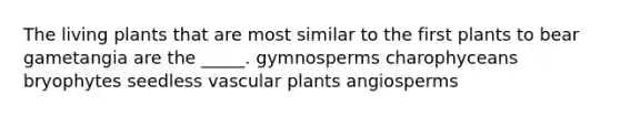 The living plants that are most similar to the first plants to bear gametangia are the _____. gymnosperms charophyceans bryophytes seedless <a href='https://www.questionai.com/knowledge/kbaUXKuBoK-vascular-plants' class='anchor-knowledge'>vascular plants</a> angiosperms