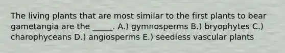 The living plants that are most similar to the first plants to bear gametangia are the _____. A.) gymnosperms B.) bryophytes C.) charophyceans D.) angiosperms E.) seedless vascular plants