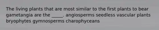 The living plants that are most similar to the first plants to bear gametangia are the _____. angiosperms seedless <a href='https://www.questionai.com/knowledge/kbaUXKuBoK-vascular-plants' class='anchor-knowledge'>vascular plants</a> bryophytes gymnosperms charophyceans