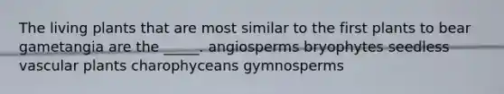 The living plants that are most similar to the first plants to bear gametangia are the _____. angiosperms bryophytes seedless vascular plants charophyceans gymnosperms