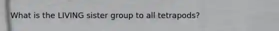 What is the LIVING sister group to all tetrapods?