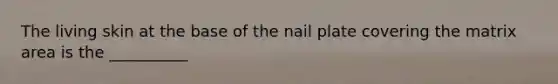 The living skin at the base of the nail plate covering the matrix area is the __________