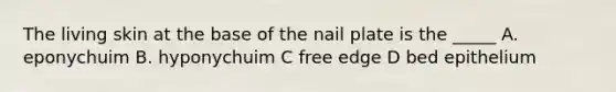 The living skin at the base of the nail plate is the _____ A. eponychuim B. hyponychuim C free edge D bed epithelium