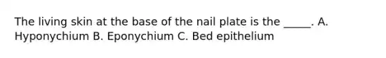 The living skin at the base of the nail plate is the _____. A. Hyponychium B. Eponychium C. Bed epithelium