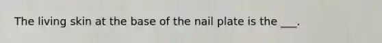 The living skin at the base of the nail plate is the ___.