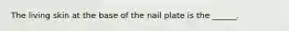 The living skin at the base of the nail plate is the ______.