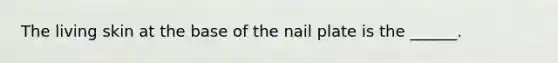 The living skin at the base of the nail plate is the ______.