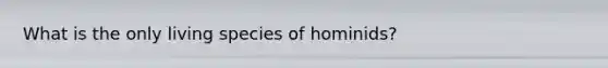 What is the only living species of hominids?