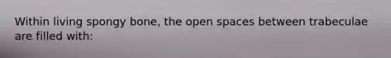 Within living spongy bone, the open spaces between trabeculae are filled with: