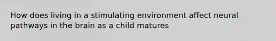 How does living in a stimulating environment affect neural pathways in the brain as a child matures