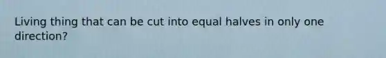 Living thing that can be cut into equal halves in only one direction?